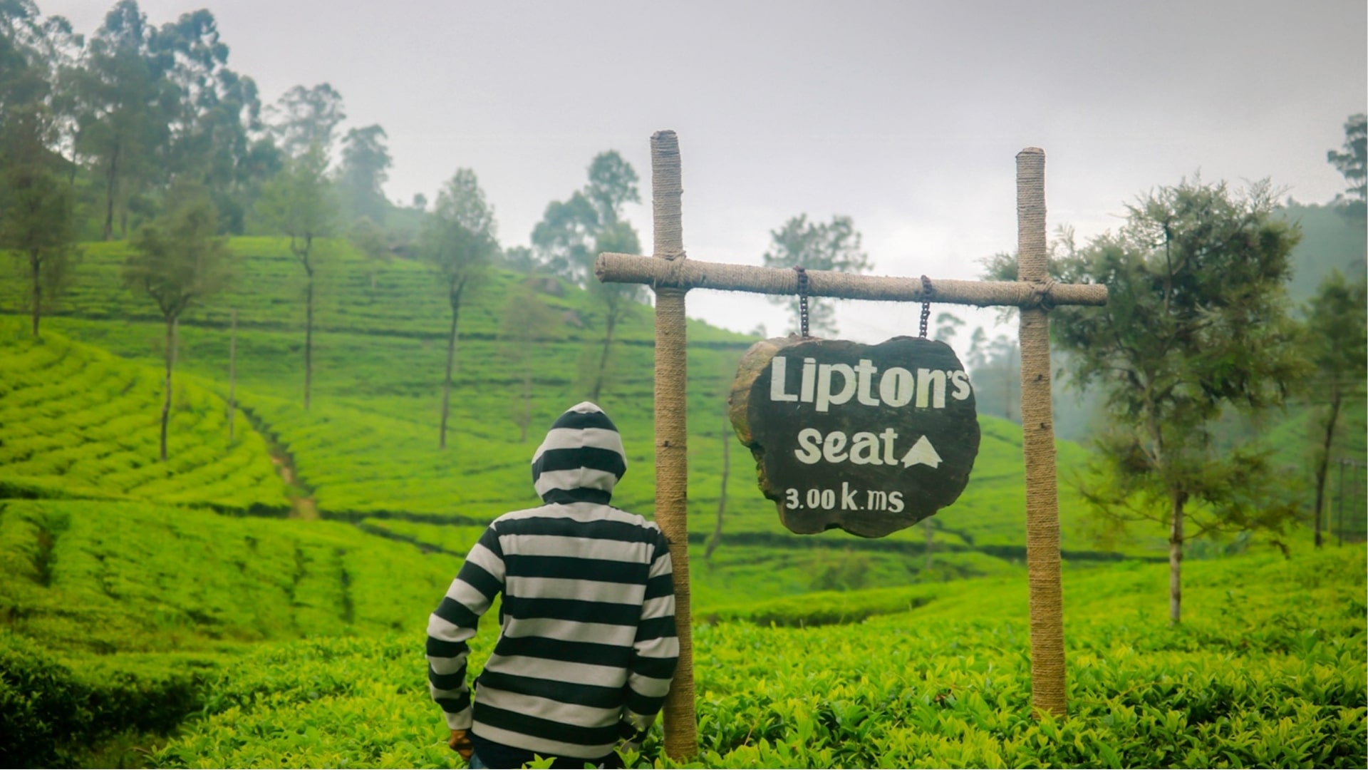 Lipton’s Seat Haputale