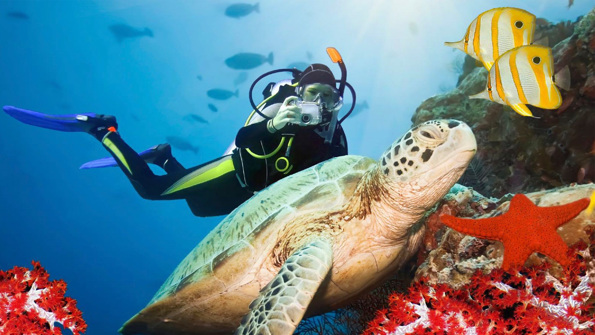 Hikkaduwa Coral Reefs