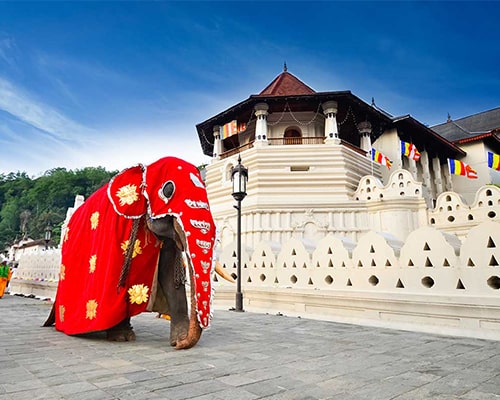 Spiritual Pilgrimage